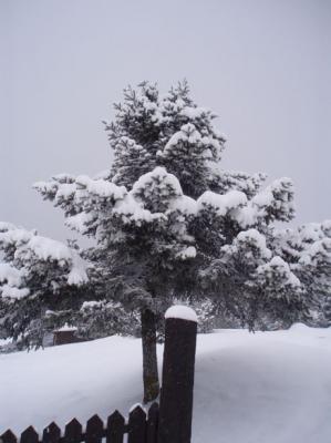 Subida con nieve por Cotos